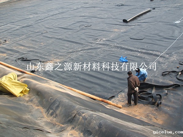 及时对破损的黑膜沼气池进行修补