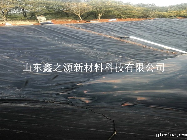 大风天气下的养殖防渗膜施工策略：简约创新指南