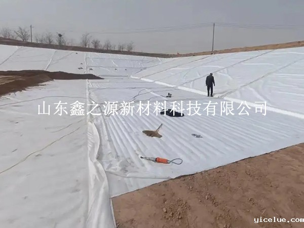 防渗伟德app下载安卓手机运输注意事项：安全高效，细节决定成败