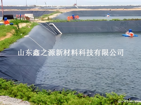 鱼塘防渗膜存放技巧：轻松保鲜，以备不时之需