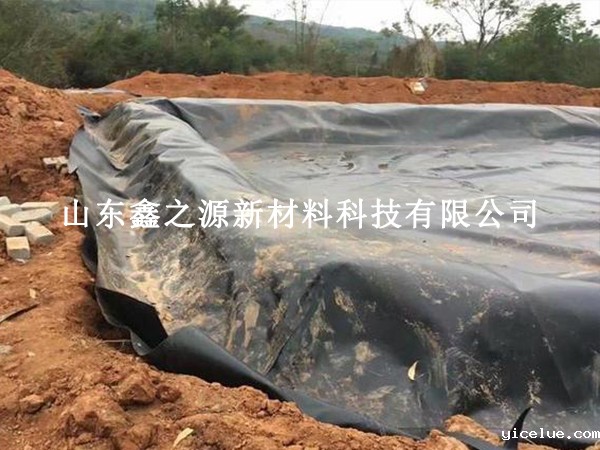 HDPE伟德app下载安卓手机：防渗工程的坚强守护者