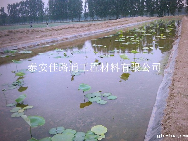 养殖防渗膜延伸率不足？根源在这些地方