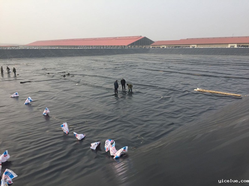 牧场污水池项目