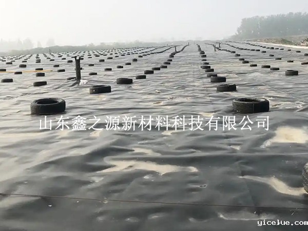 蓄水池防渗膜裁剪别乱剪，这些技巧更省心